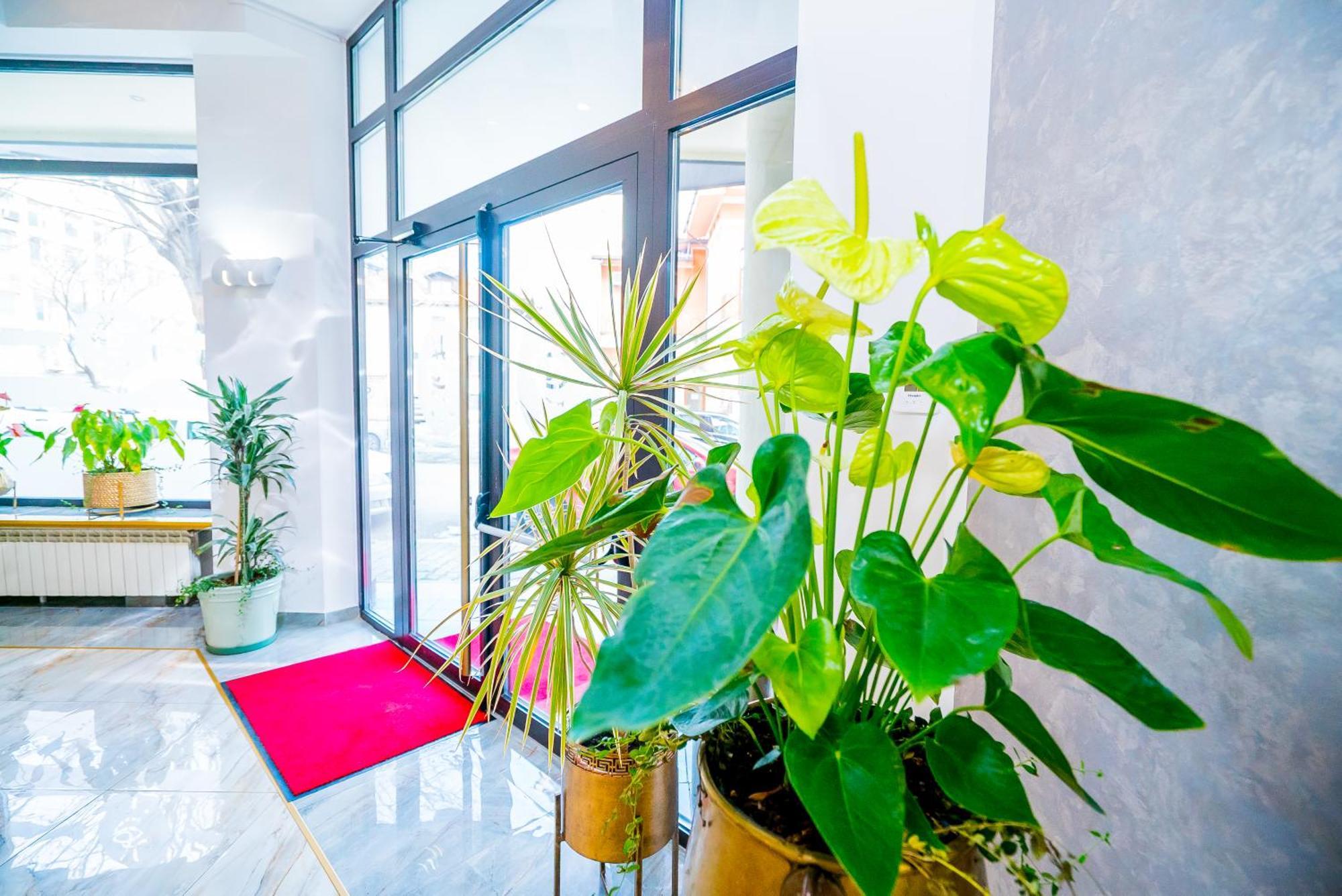 Guci Hotel كونستانتا المظهر الخارجي الصورة
